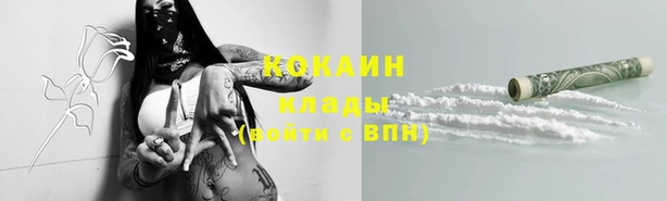 гашик Арсеньев