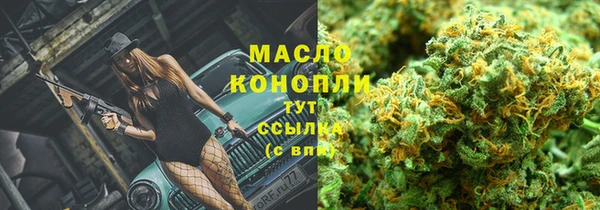 гашик Арсеньев