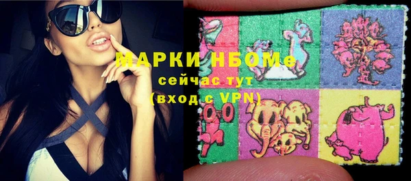 хмурый Ступино
