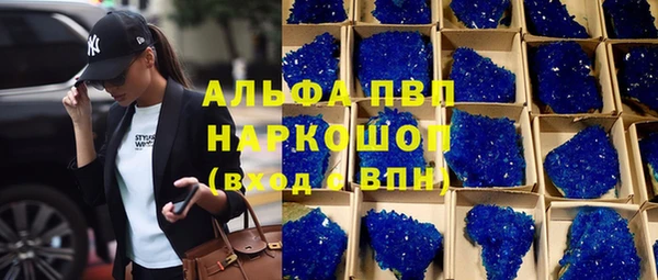 СК Строитель