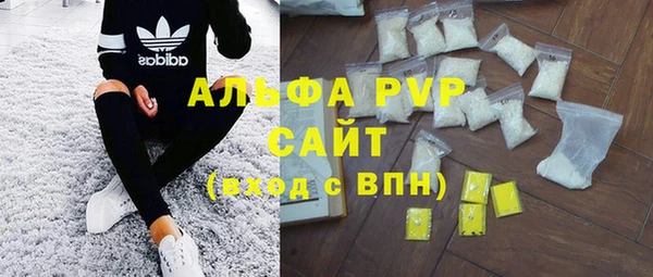 СК Строитель
