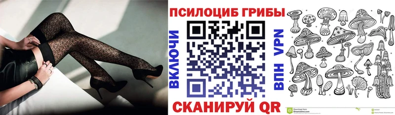 Галлюциногенные грибы Psilocybe  Куровское 