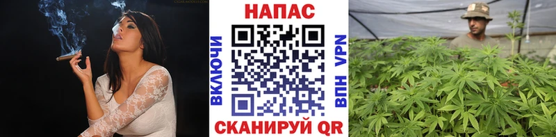 сколько стоит  Куровское  МАРИХУАНА Bruce Banner 